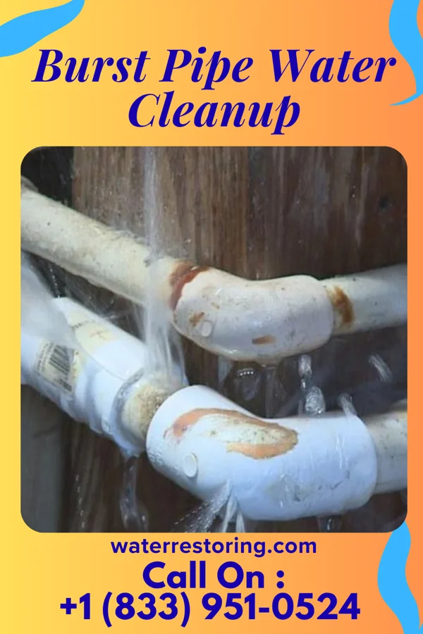 Burst Pipe Water Cleanup in Juno Beach, FL
