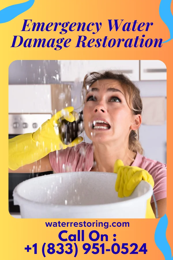Emergency Water Damage Restoration in Juno Beach, FL