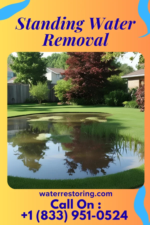 Standing Water Removal in Juno Beach, FL